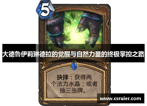 大德鲁伊莉琳德拉的觉醒与自然力量的终极掌控之路
